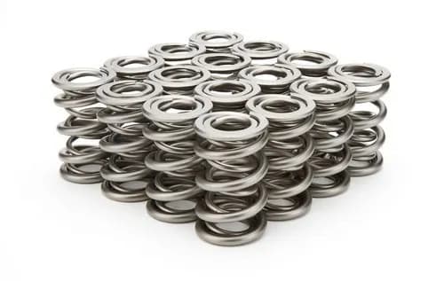 1.625 Dual Valve Springs (16)