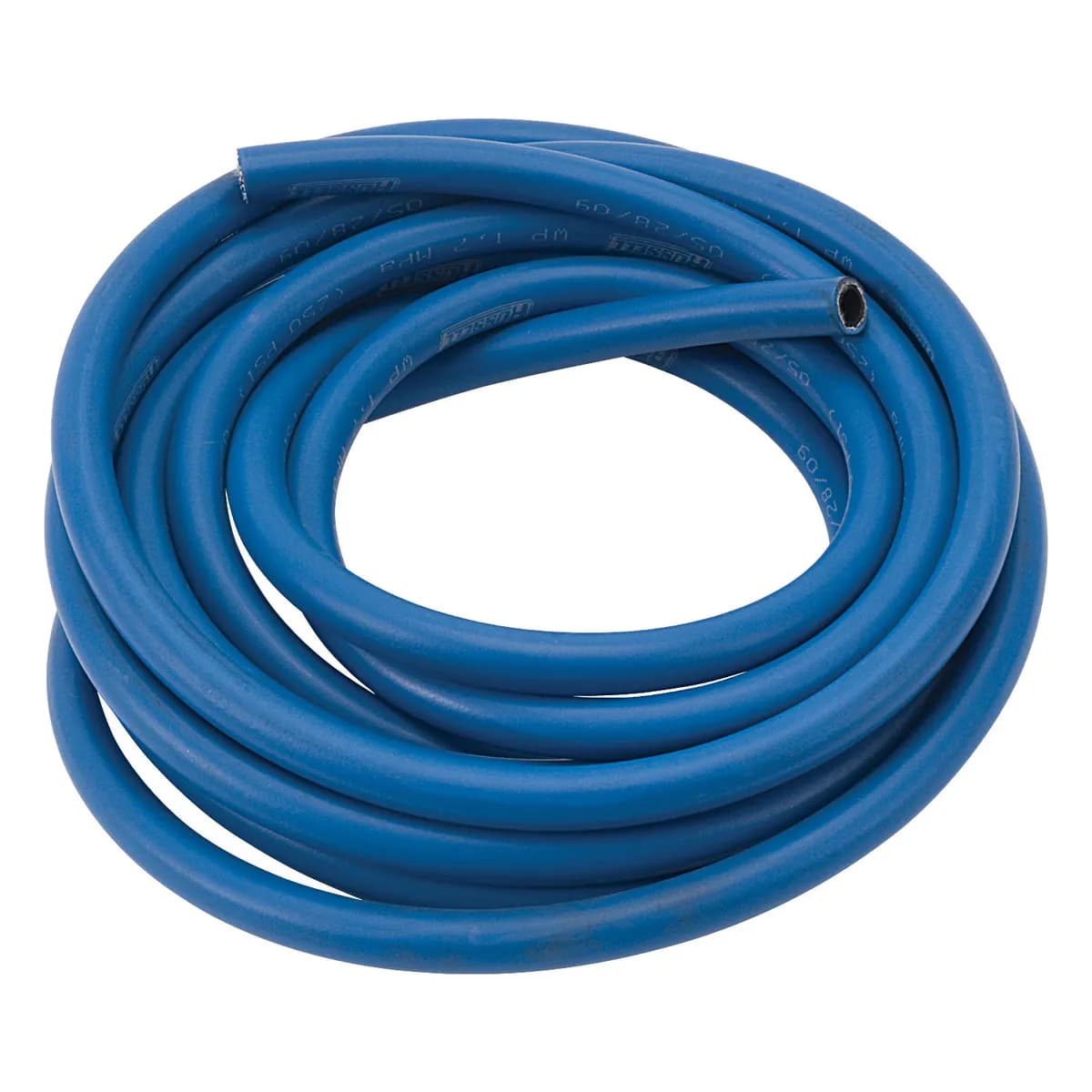 Hose Twistlok Blue 10 6ft