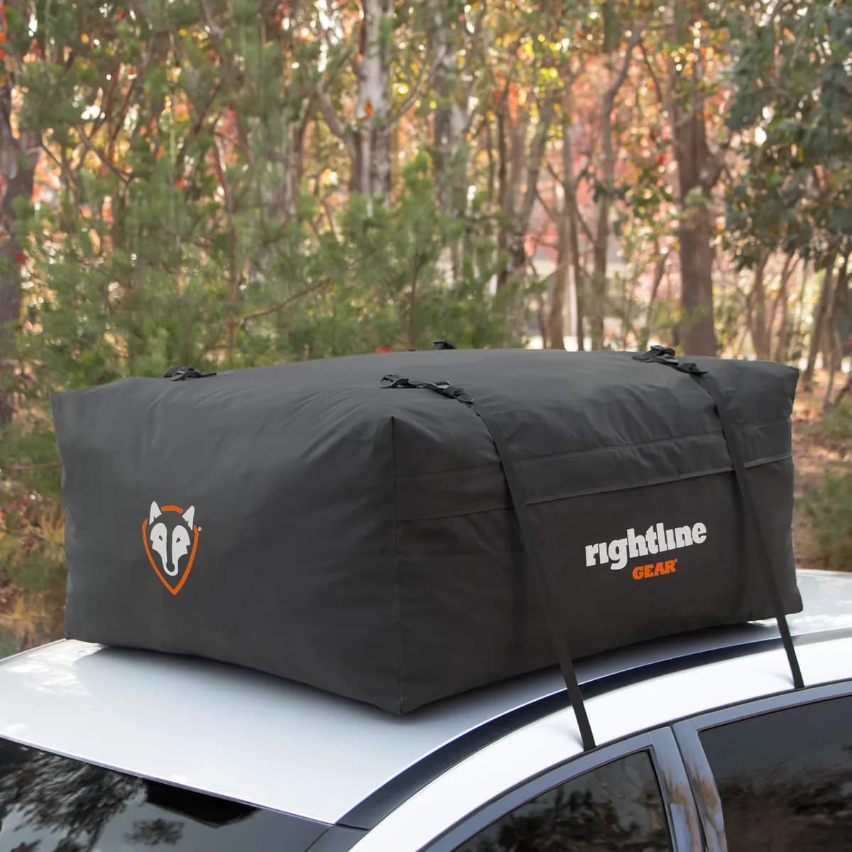 Rightline Gear® Range 2 Weatherproof Rooftop Cargo Carrier