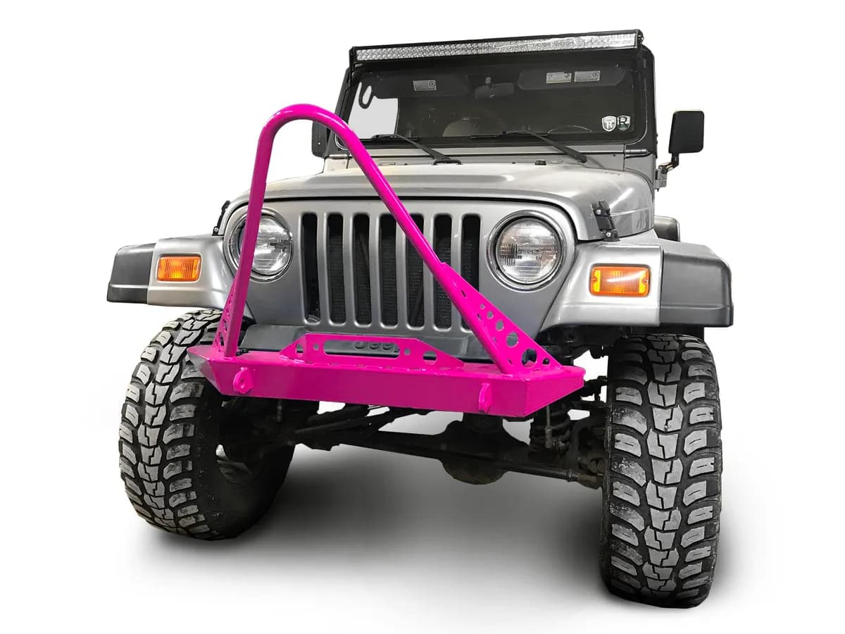 Bumpers 1997-2002 Stinger Hot Pink