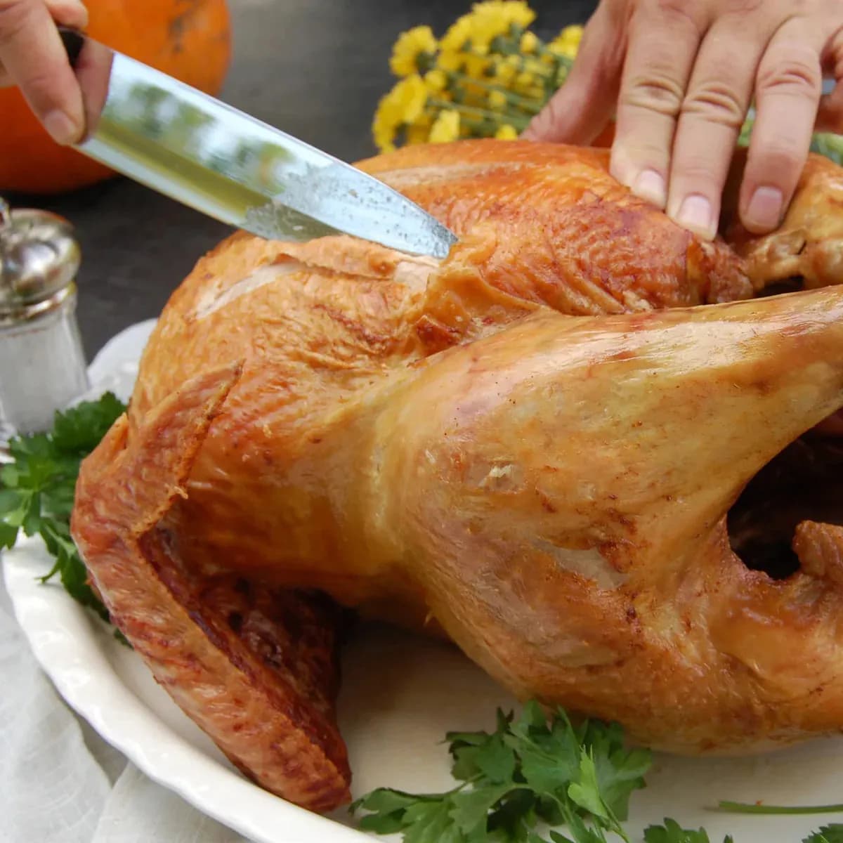 32qt Stainless Turkey Fryer With Basket