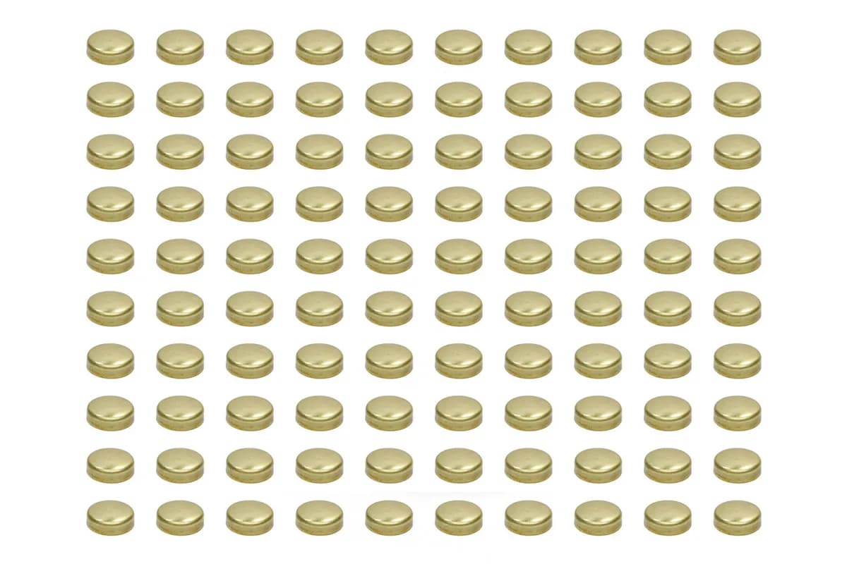 Expansion Plugs - 1-5/8 Brass (100pk)