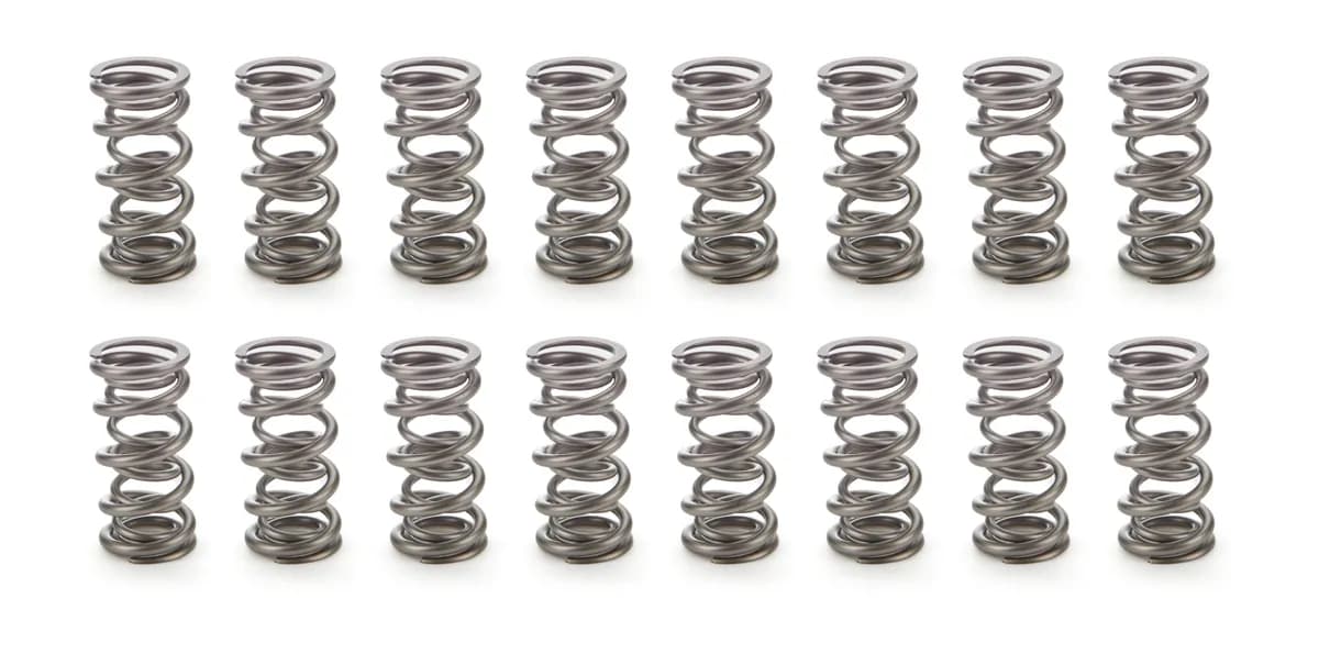 1.106 Dual Valve Springs 1300 Series (16)