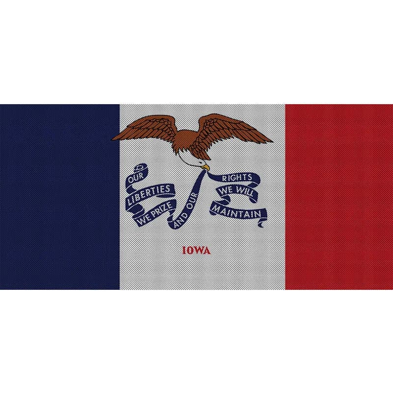 Iowa State Flag