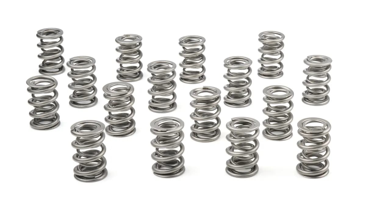 1.625 Dual Valve Springs (16)