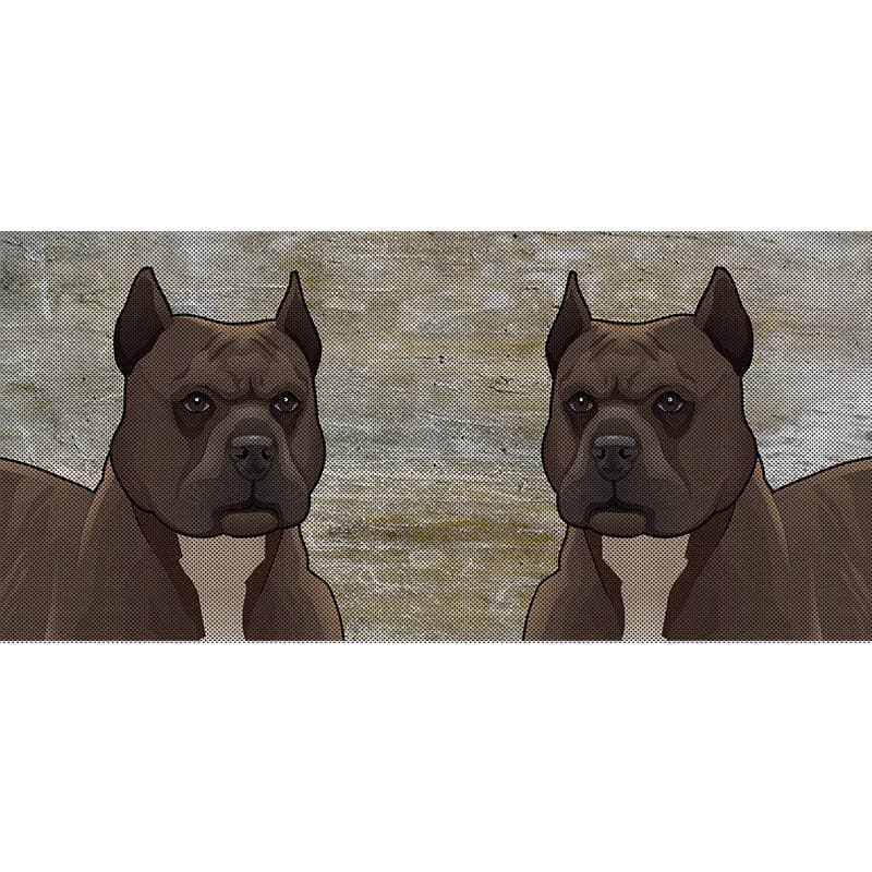 Pit Bull