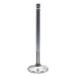 SBC C/6 1.600in Exhaust Valves